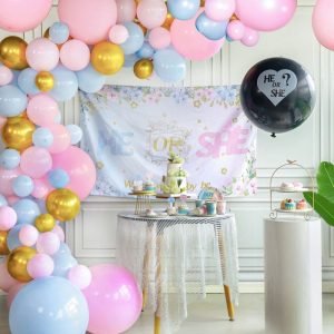 Gender Reveal backdrop pink blue balloon arch she or he backdrop