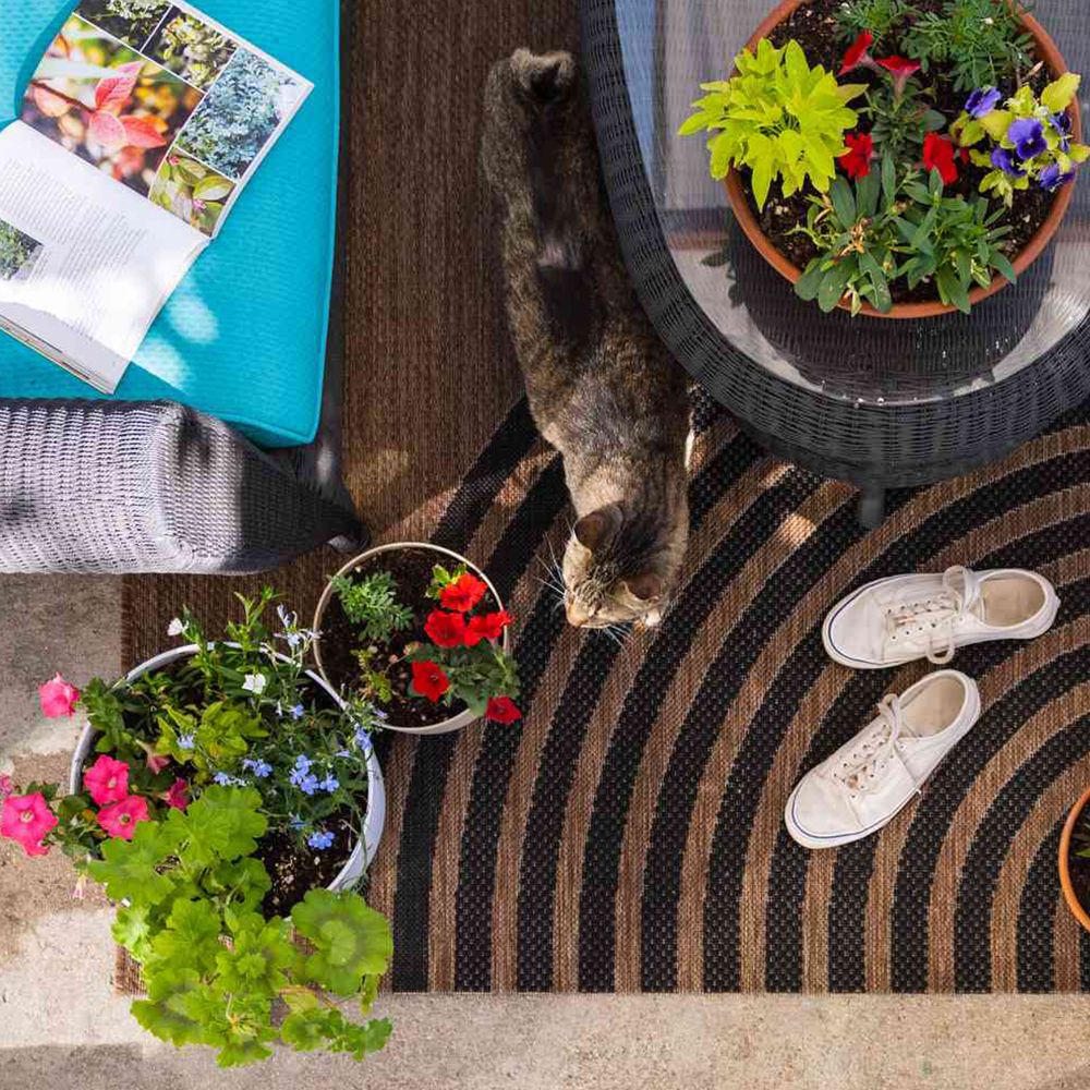 Outdoor Rugs