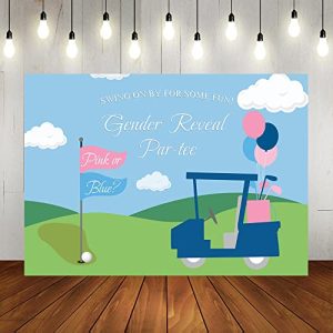 gender reveal backdrop