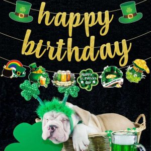 St. Patrick's Day Birthday Decorations Set