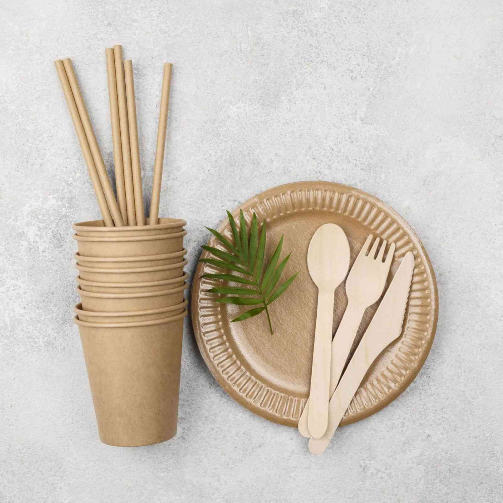 eco friendly disposable tableware set