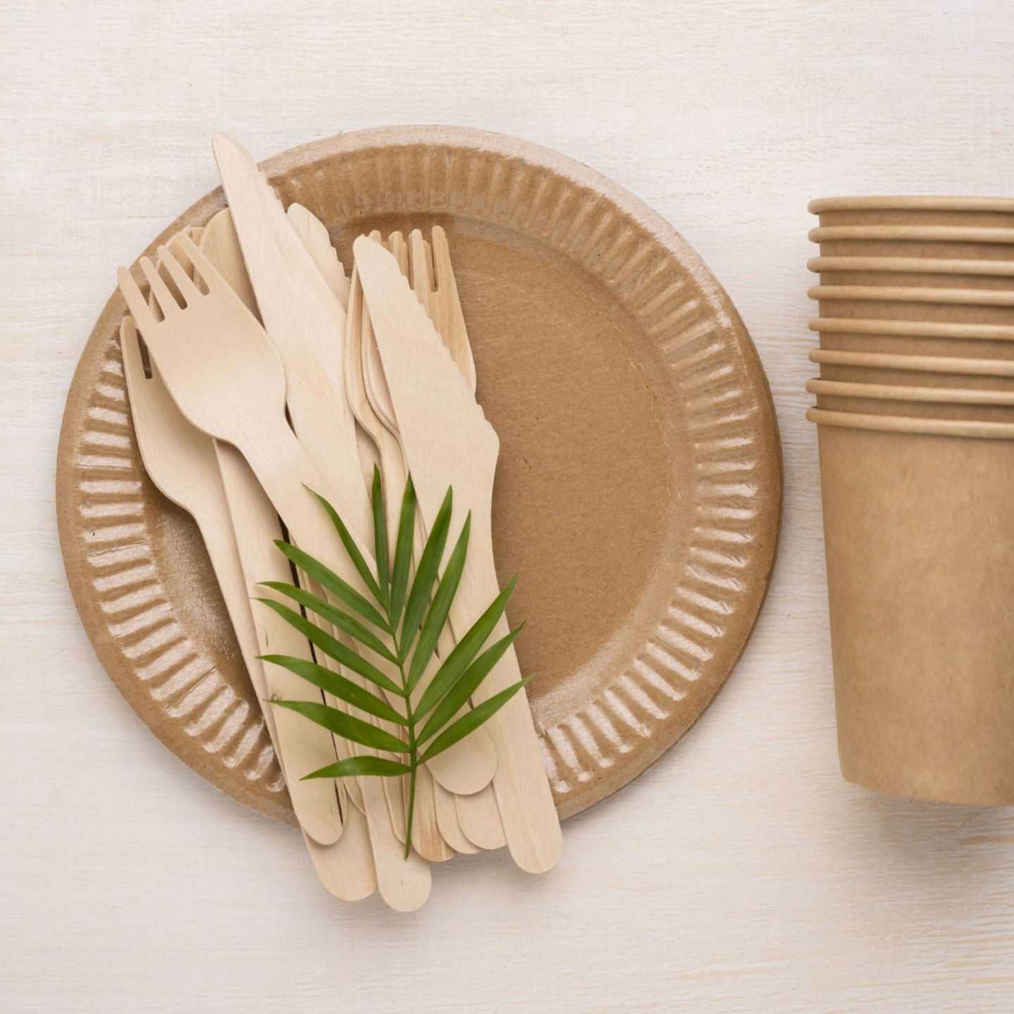 eco friendly disposable tableware