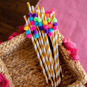 Fiesta Paper Straws