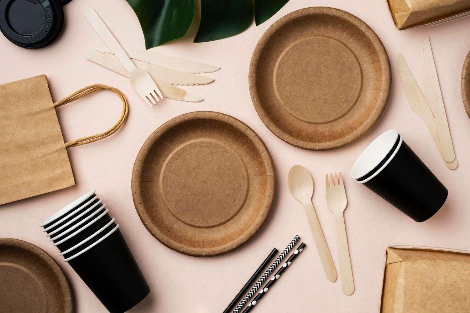 Disposable Tableware Market Trends eco friendly tableware